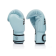 Боксерские перчатки Fairtex BGV20 Blue