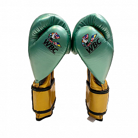 Боксерские перчатки Cleto Reyes E600 WBC Green/Gold 1