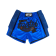 Шорты для тайского бокса Fairtex BS1702 Royal Blue