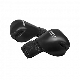 Боксерские перчатки Hayabusa Pro Black 1