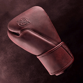 Боксерские перчатки Hayabusa T360 Leather Cabernet 1