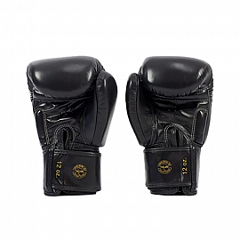 Боксерские перчатки Fairtex BGV19 Black 3
