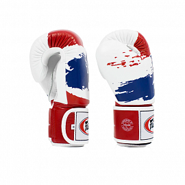 Боксерские перчатки Fairtex BGV1 Thai Pride 3