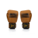 Боксерские перчатки Fairtex BGV21 Legasy