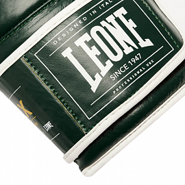 Боксерские перчатки Leone 1947 Shock X GN047X Green 5