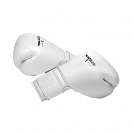 Боксерские перчатки Hayabusa Pro White 1