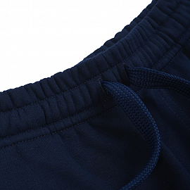 Спортивные шорты Manto Society Navy 1