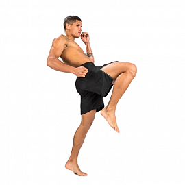 Шорты ММА Venum Biomecha Black/Grey 3