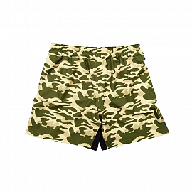 Шорты MMA Fairtex Board Shorts AB15 Sandy 1