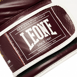 Боксерские перчатки Leone 1947 Shock X GN047X Bord Legio 5