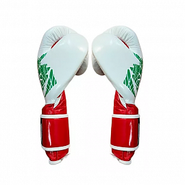 Боксерские перчатки Cleto Reyes E600 Mexico White 1