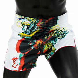 Шорты для тайского бокса Fairtex BS1908 Satoru White 4